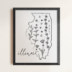 illinois posters