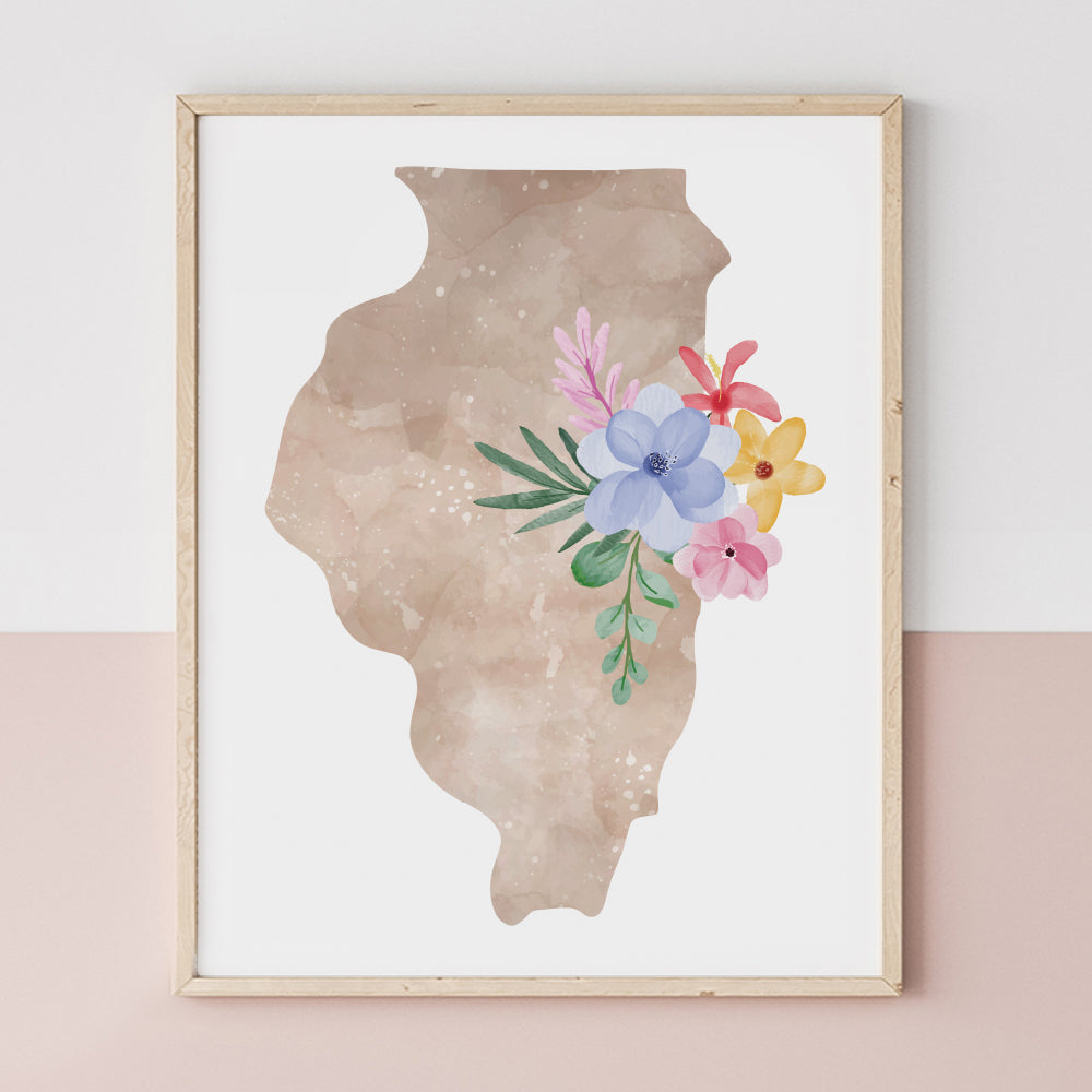 map of illinois poster