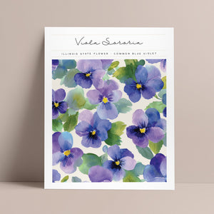 illinois state flower