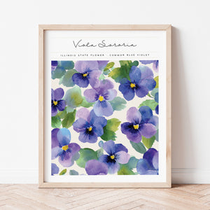 illinois state flower wall art