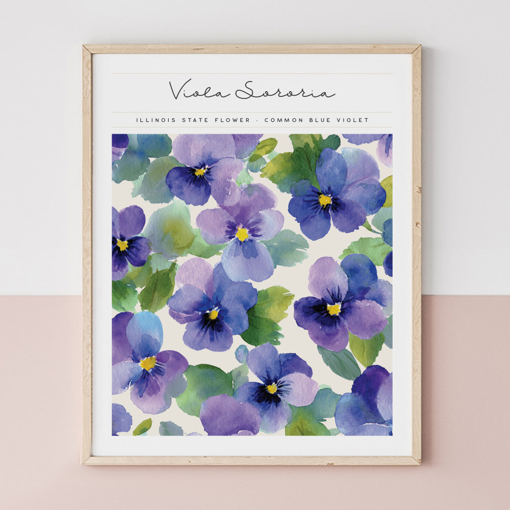 illinois state flower violet