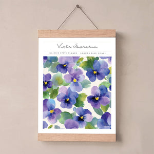 illinois state flower art print