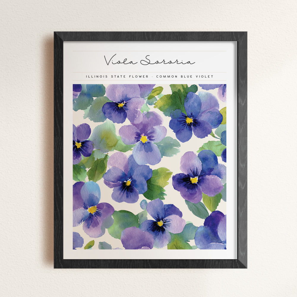 illinois floral poster