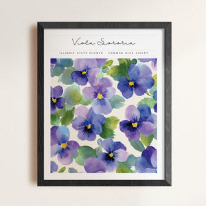 illinois floral poster