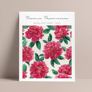 indiana state flower peony