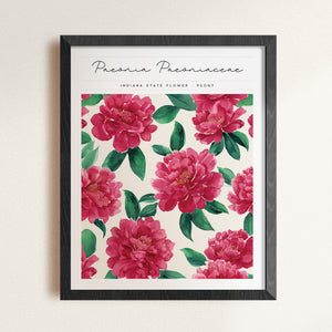 indiana state flower poster