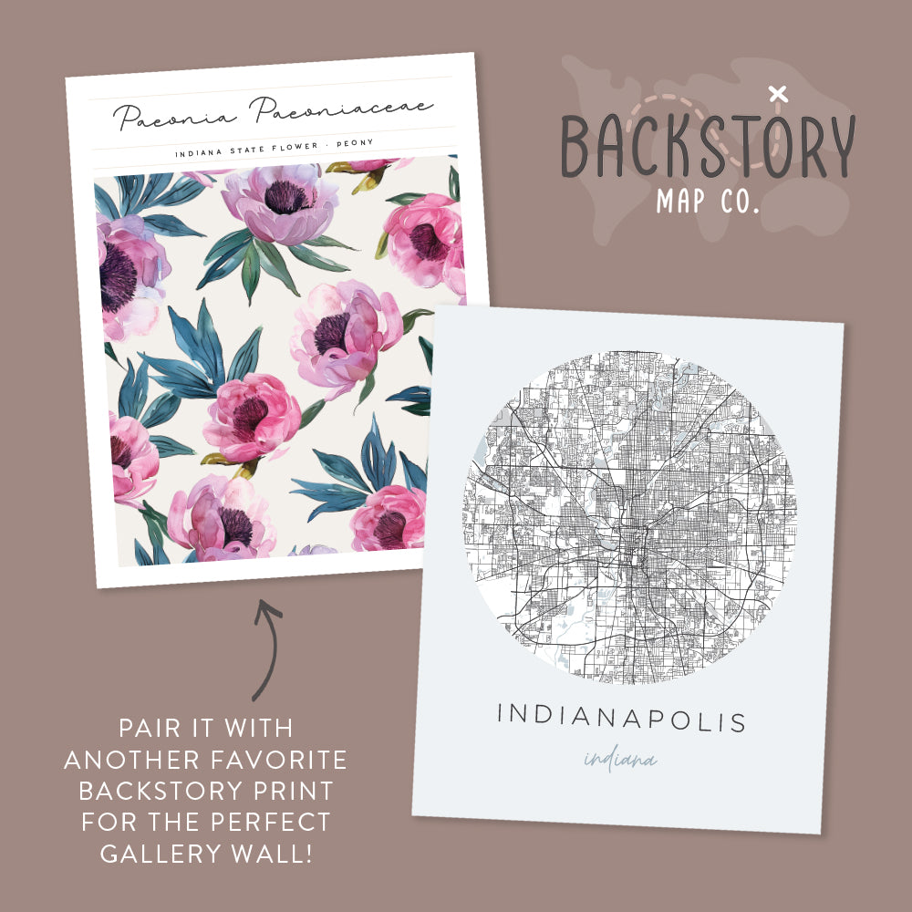 indianapolis indiana poster