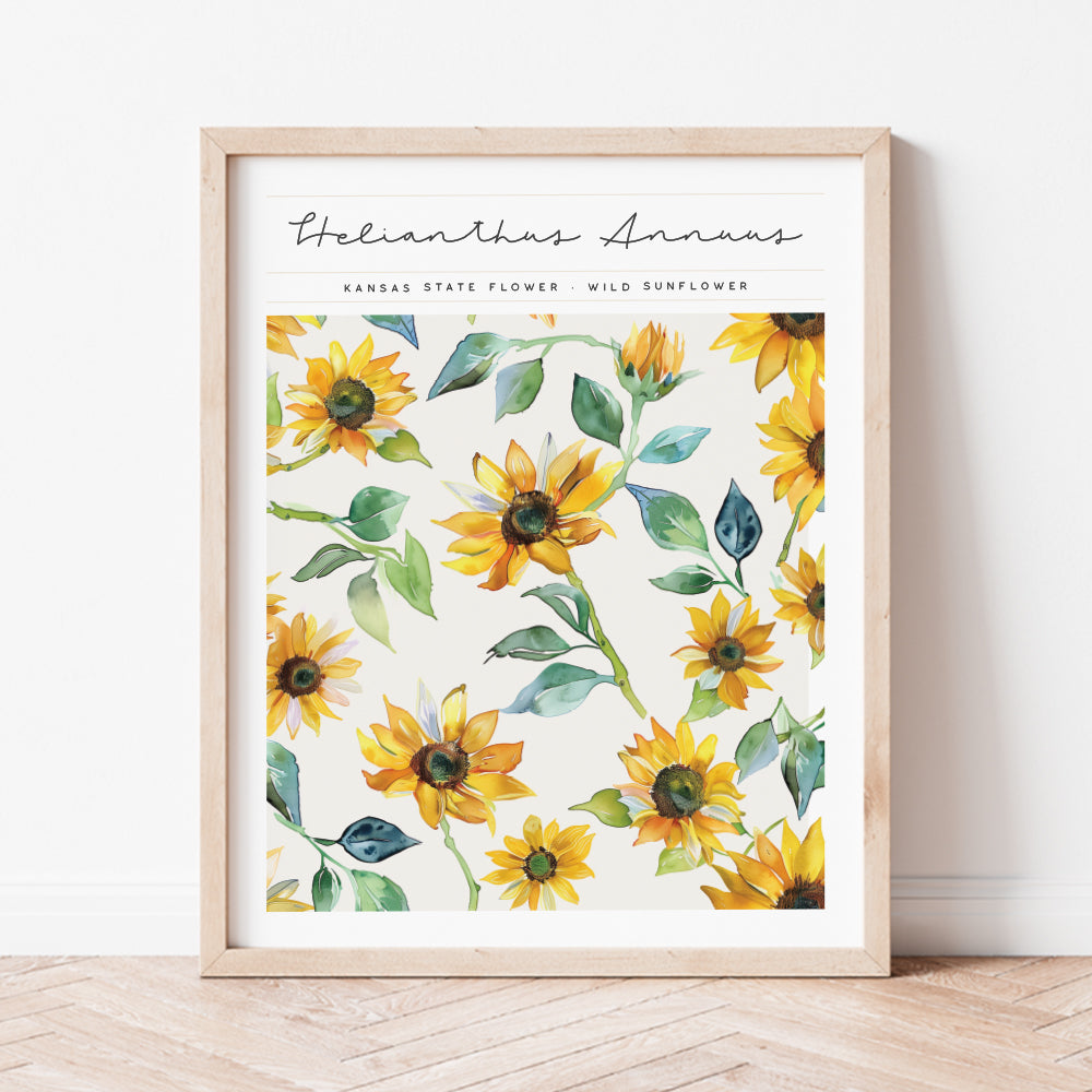 kansas state flower wild sunflower