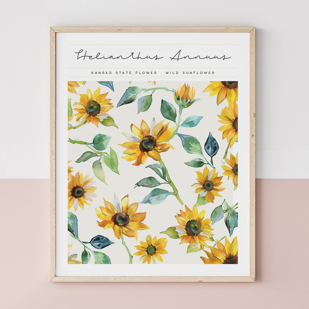 kansas state flower poster