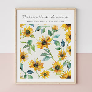 kansas state flower poster