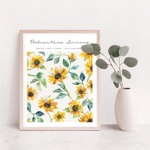 kansas state flower poster