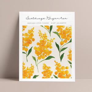 kentucky state flower