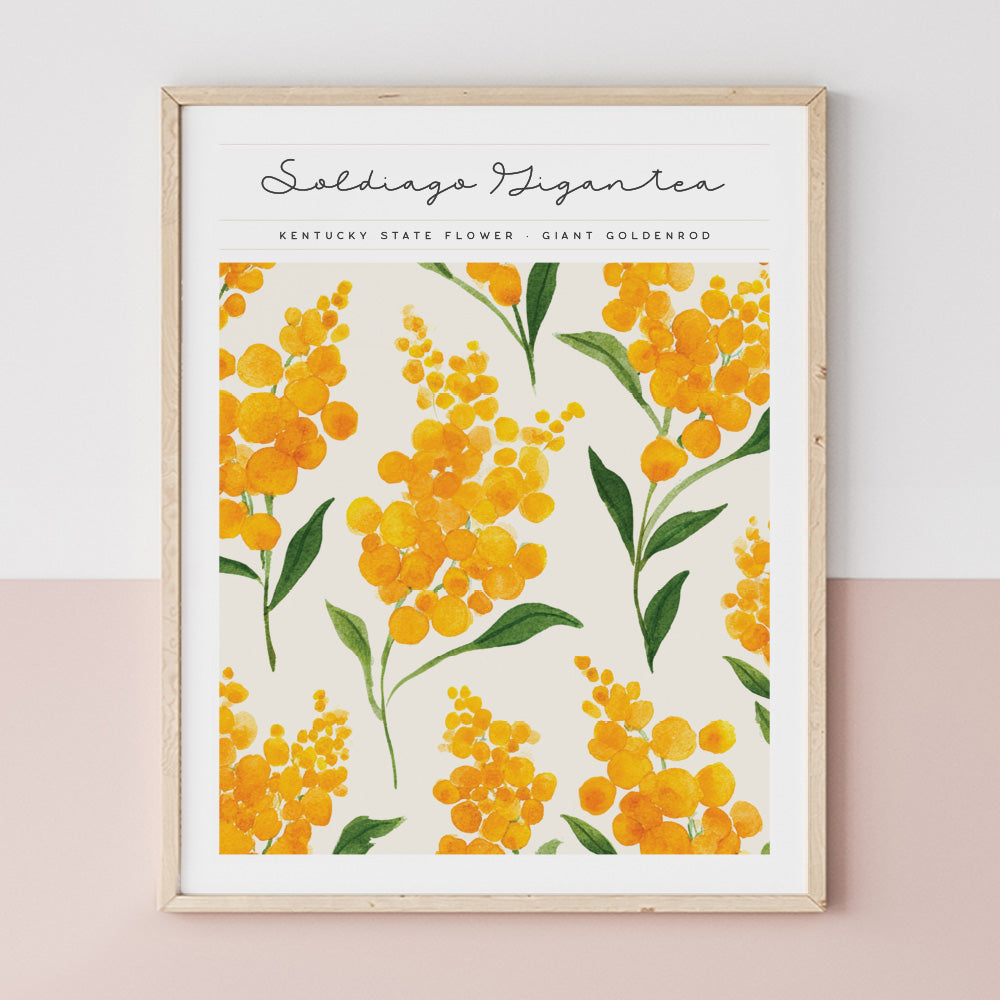 kentucky state flower giant goldenrod