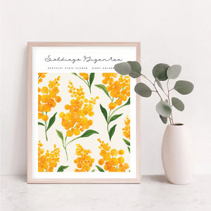 kentucky state flower poster