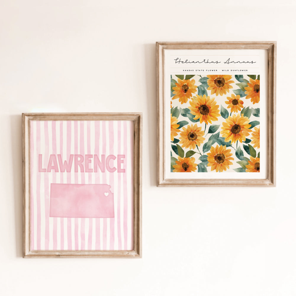 cute kansas dorm decor
