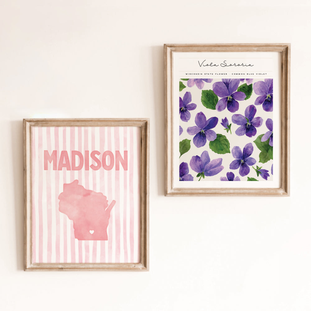 Madison, Wisconsin Poster