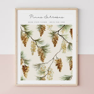 maine state flower white pine cone