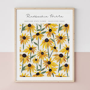 maryland state flower poster