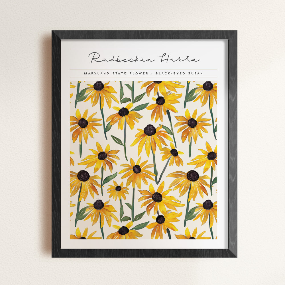 maryland state flower black-eyed susan