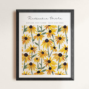 maryland state flower black-eyed susan