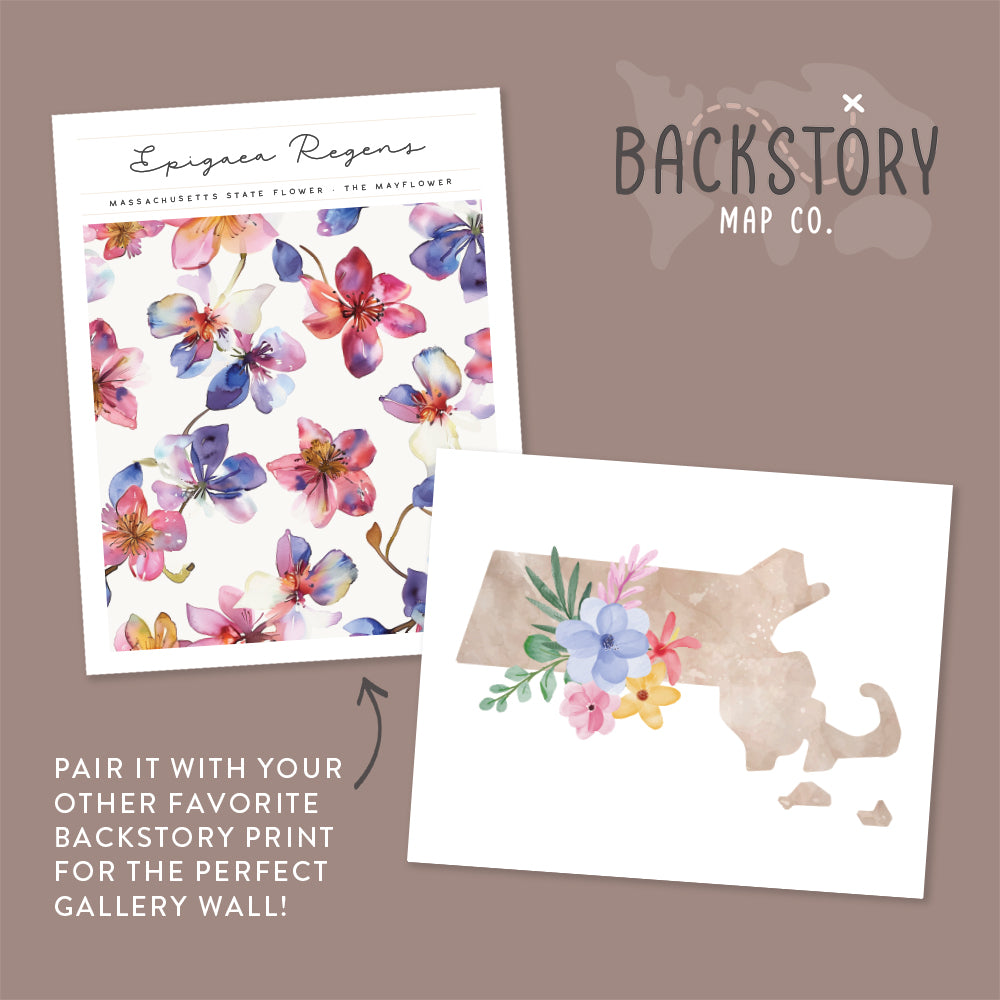 massachusetts floral poster