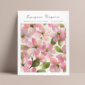 massachusetts state flower