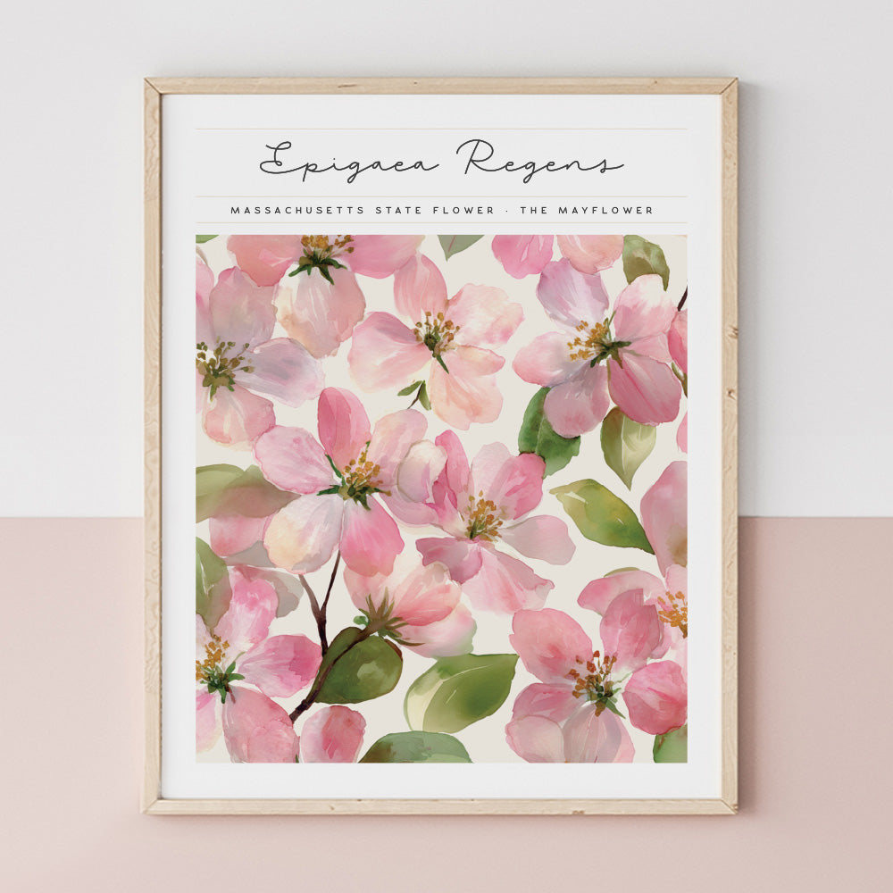 massachusetts floral wall art