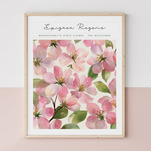 massachusetts floral wall art