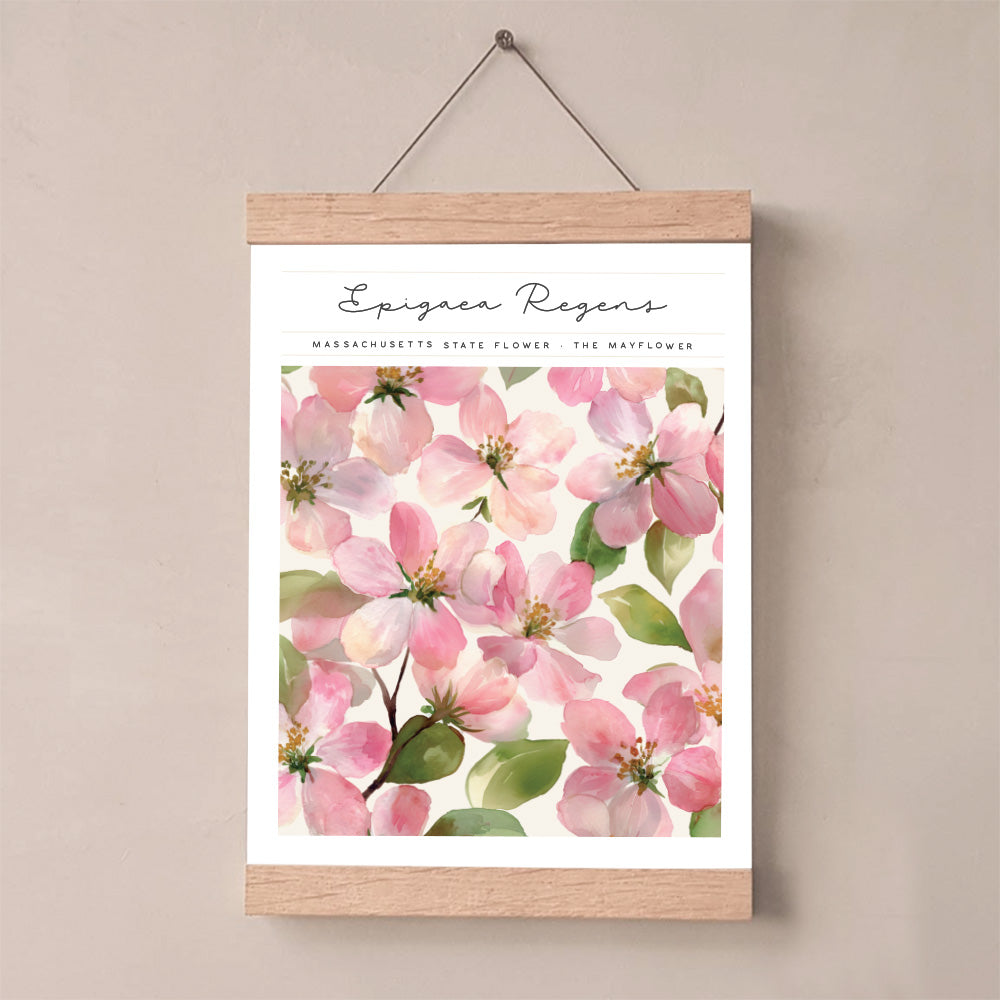 massachusetts art print