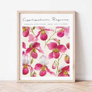 minnesota state flower showy lady's slipper