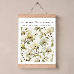 mississippi state flower southern magnolia