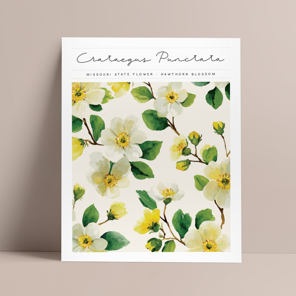 missouri state flower