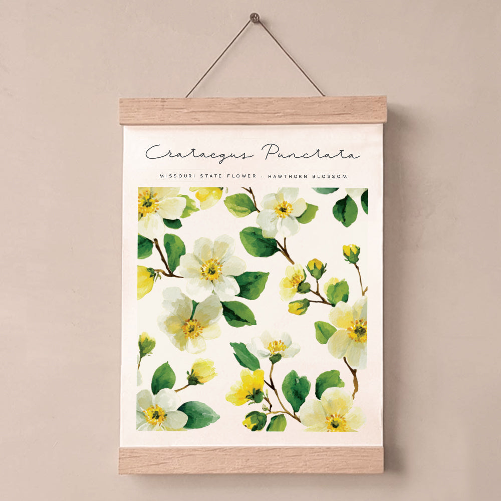 missouri state flower wall art