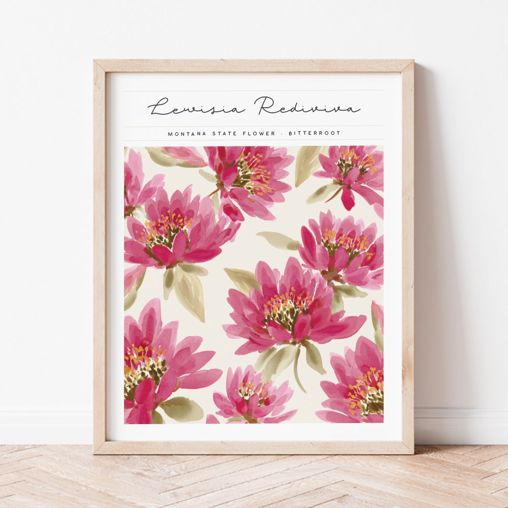 montana state flower bitterroot