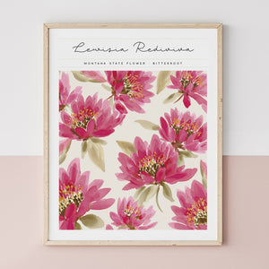 montana state flower poster