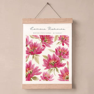 montana state flower art print