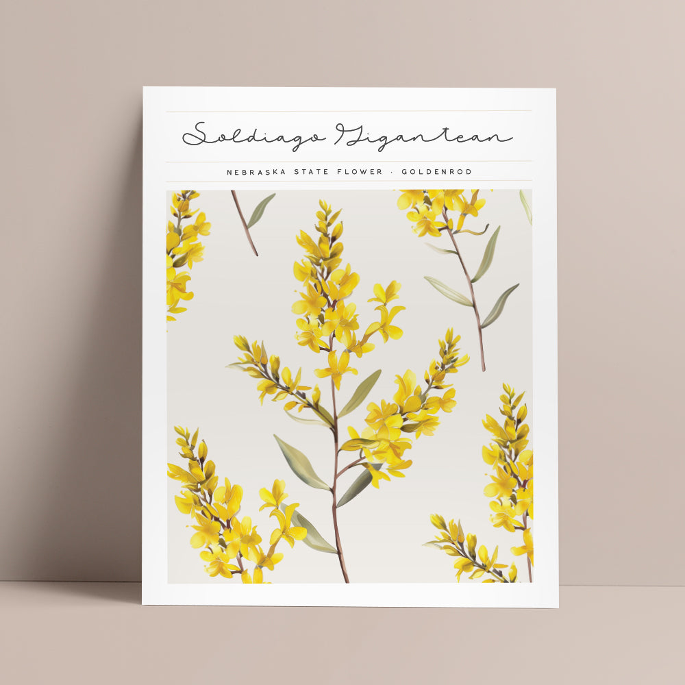 nebraska state flower