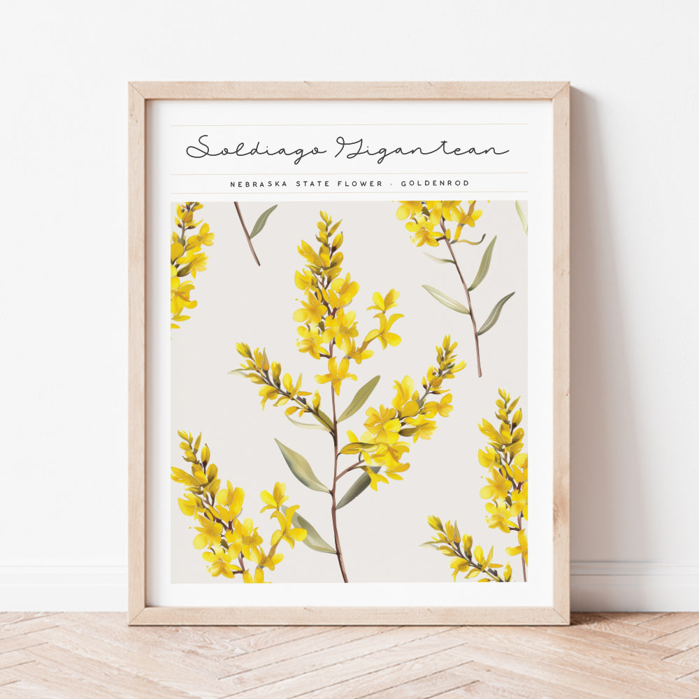 nebraska state flower goldenrod