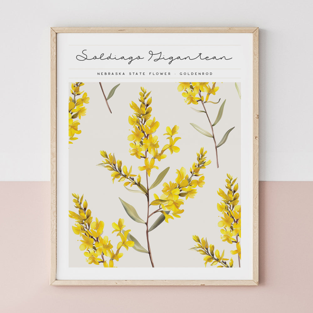 nebraska state flower wall art