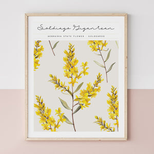 nebraska state flower wall art