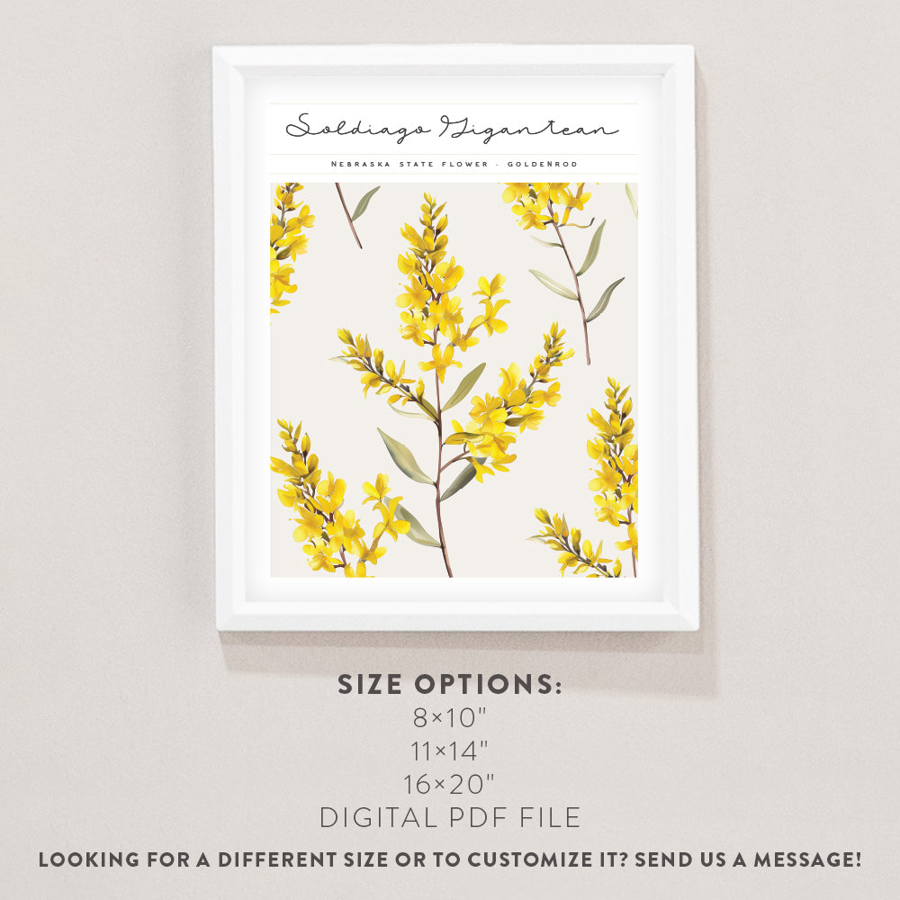 nebraska state flower