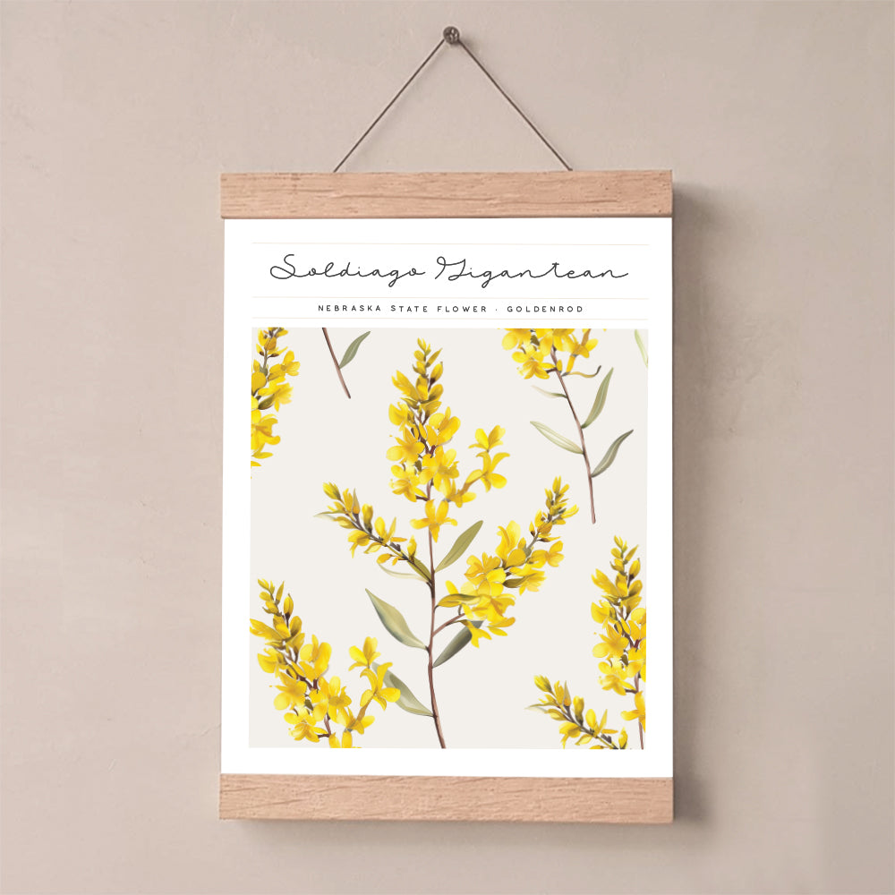nebraska floral wall art