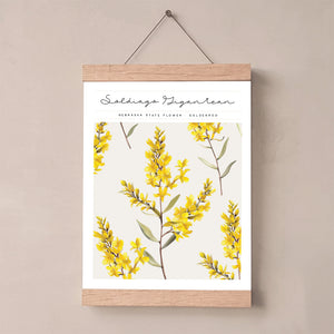 nebraska floral wall art