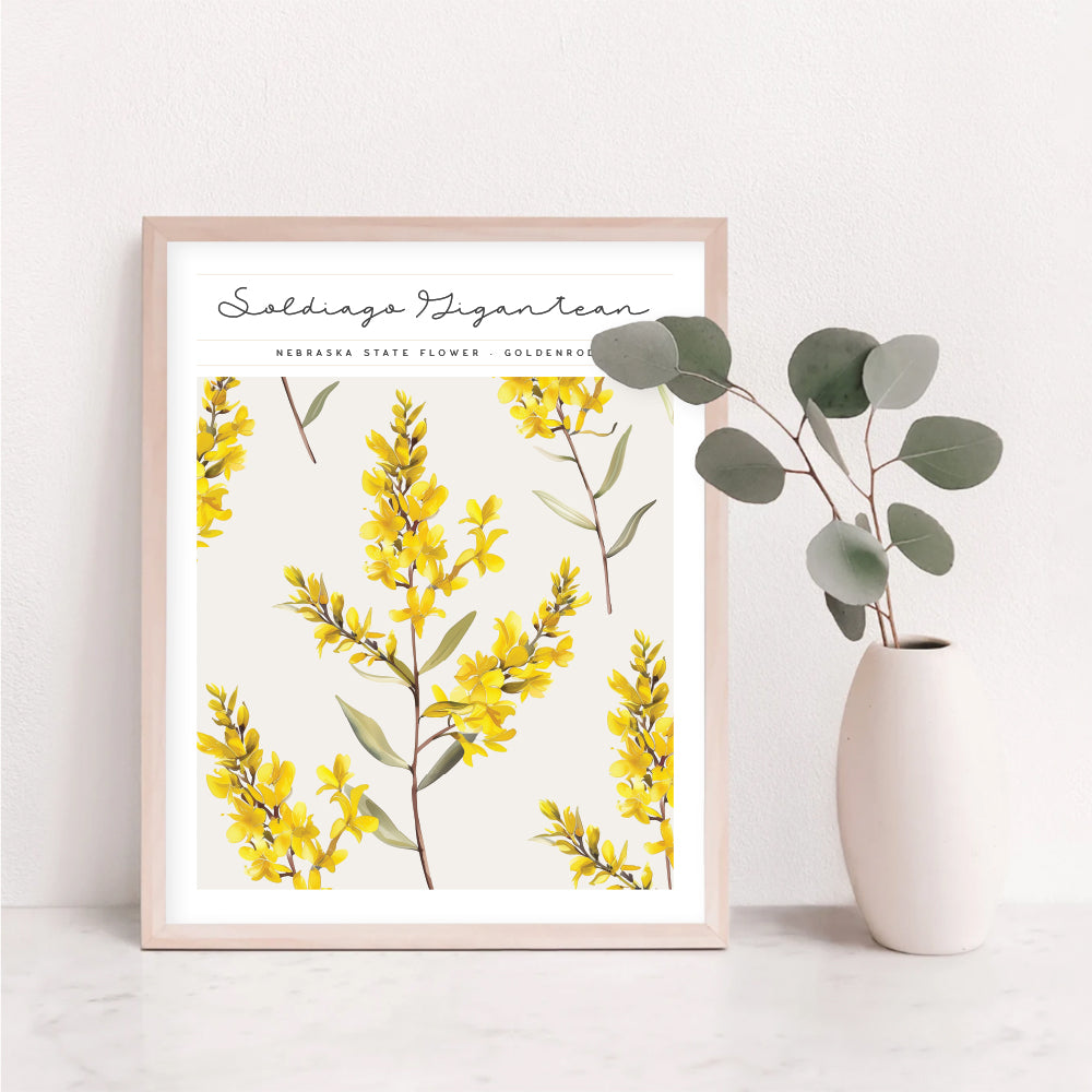 nebraska state flower wall art