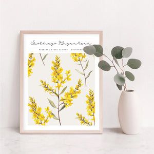 nebraska state flower wall art