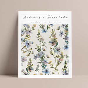 nevada state flower big sagebrush