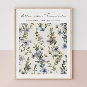 nevada state flower wall art