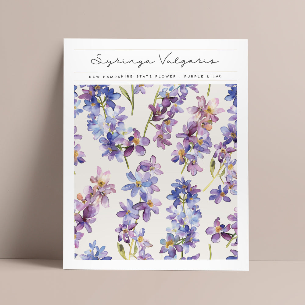 new hampshire state flower