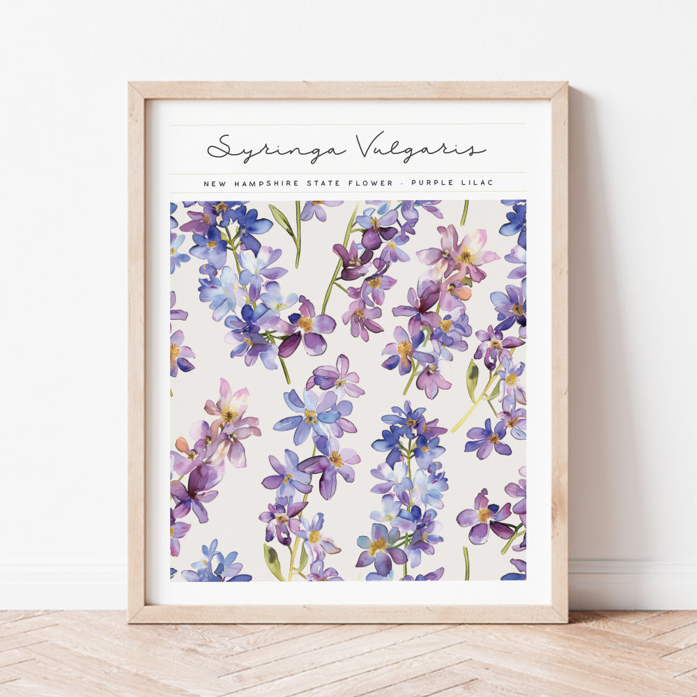 new hampshire state flower purple lilac