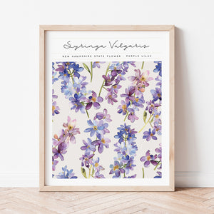 new hampshire state flower purple lilac